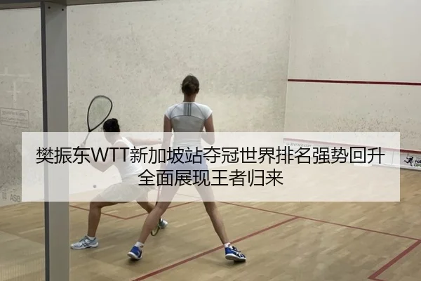樊振东WTT新加坡站夺冠世界排名强势回升全面展现王者归来